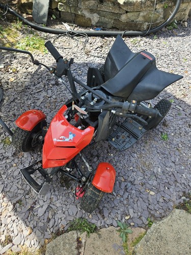 50cc mini quad - mini,