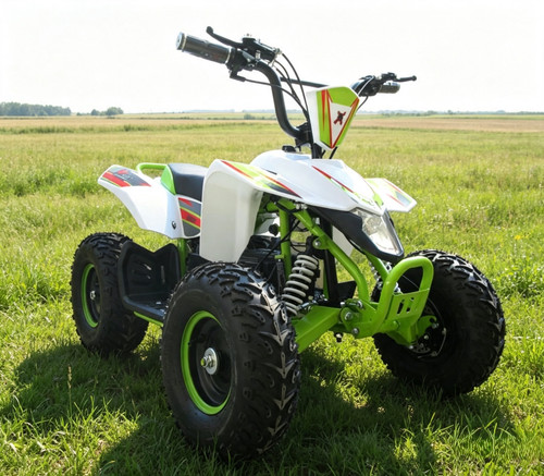 Beast 800w electric mini - x,