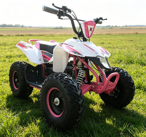 Beast 800w electric - beast,
