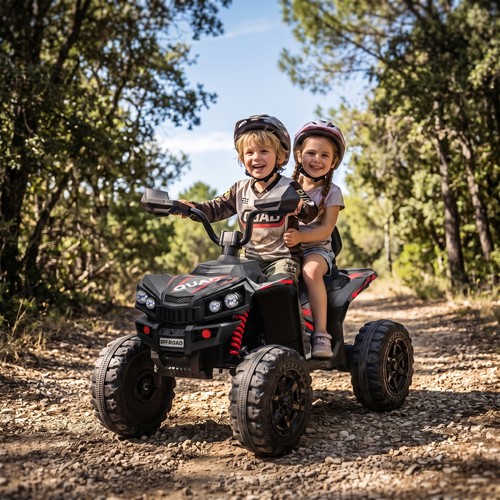24v seater electric quad - 2,