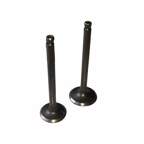 Valve set 110cc pit - set,