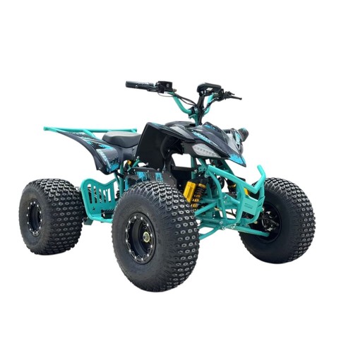 Kids quad bike electric 2000w - bike,